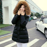 Women's Casual Black Hooded Solid Cotton Padded Coat